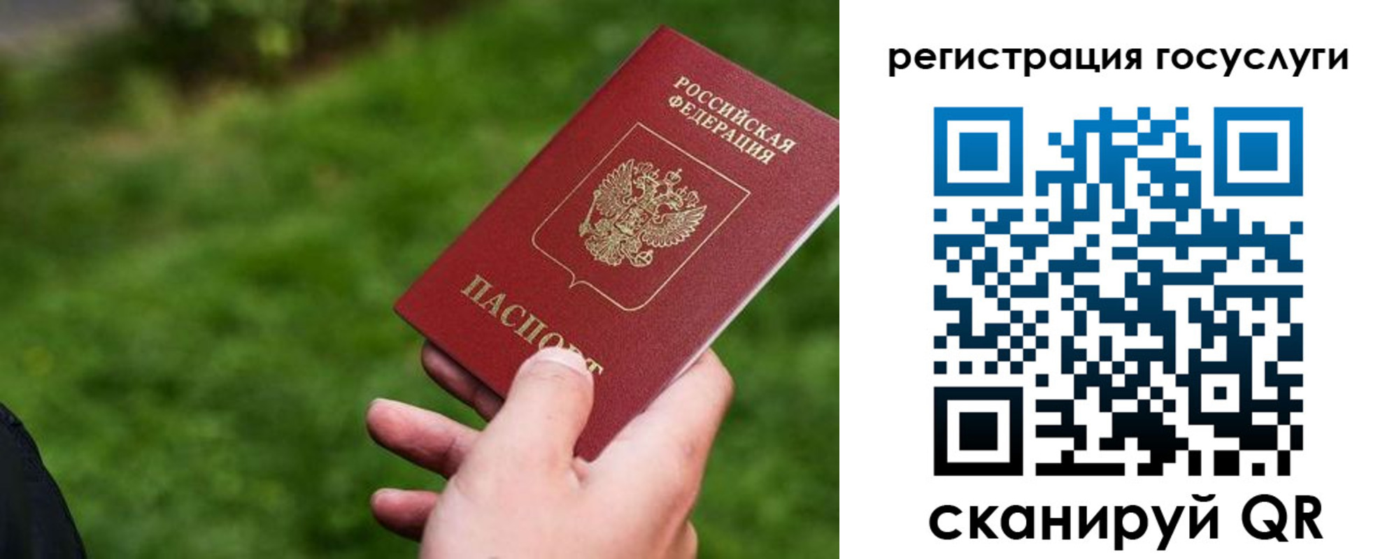 временная регистрация 2025 в Елизово